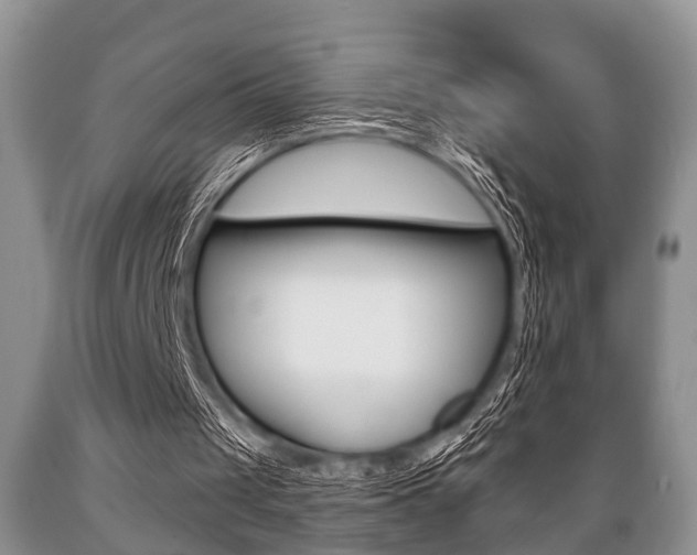 X0000089720049200706210903