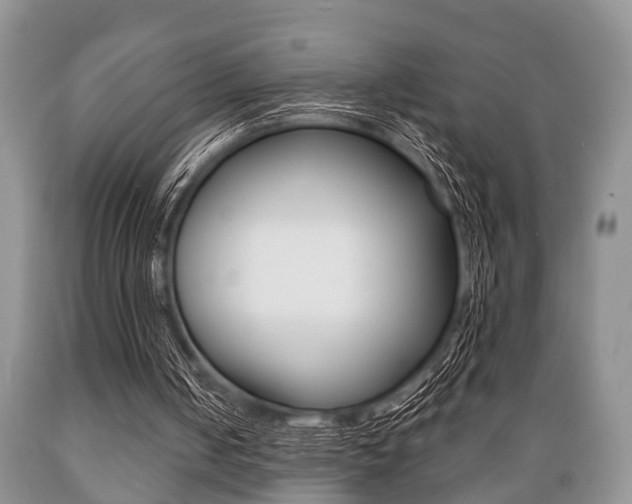 X0000089720050200706210903