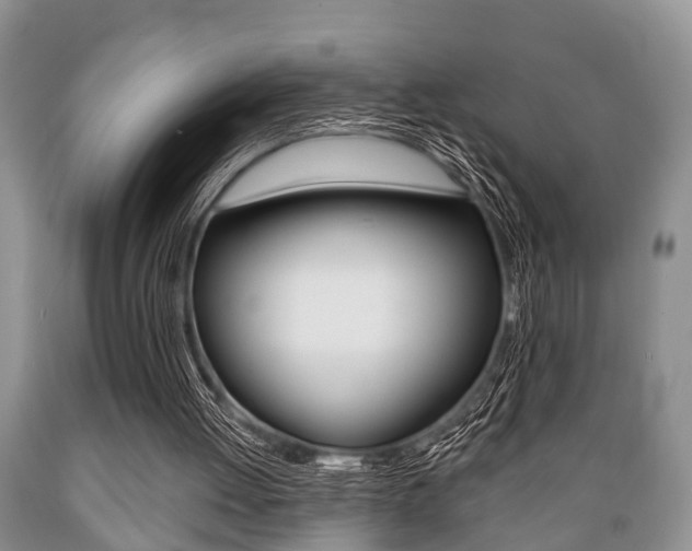 X0000089720052200706210903