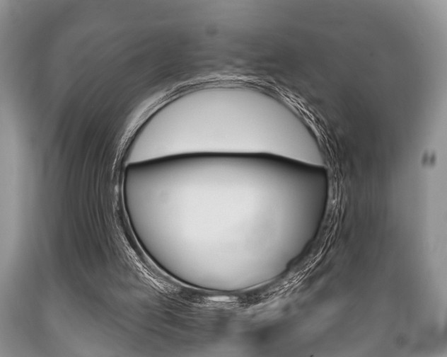 X0000089720053200706210903