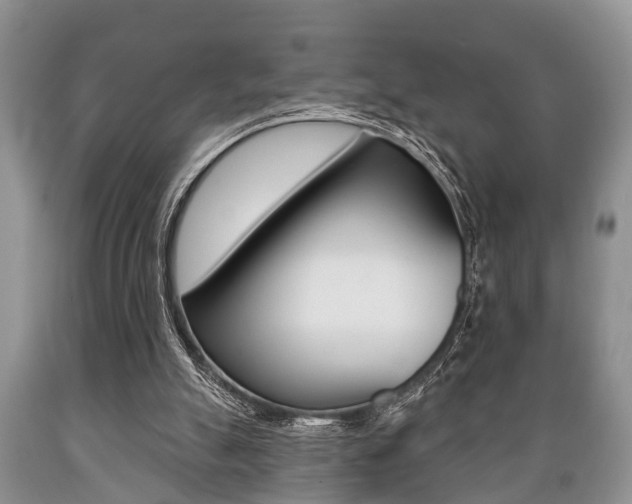 X0000089720055200706210903