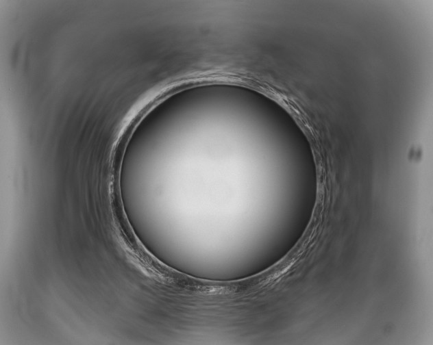 X0000089720056200706210903