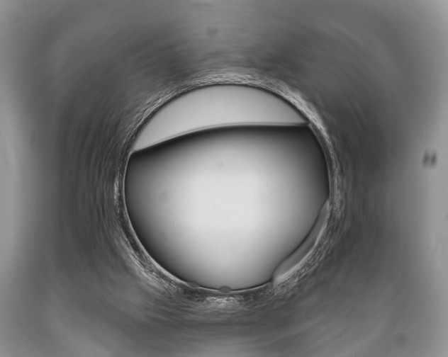X0000089720057200706210903