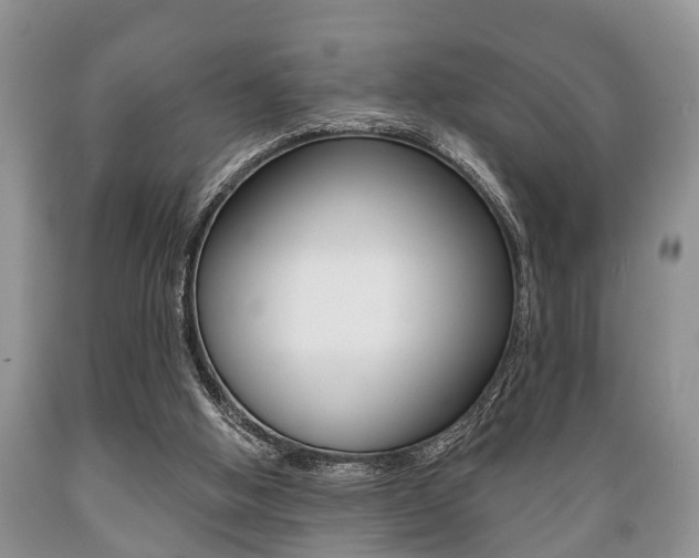 X0000089720058200706210903