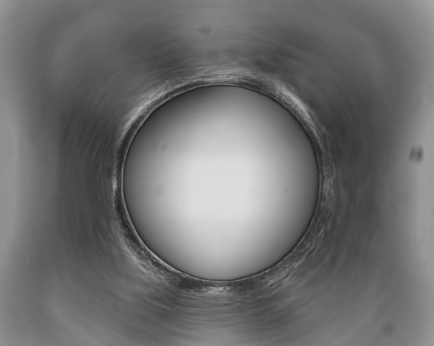 X0000089720059200706210903
