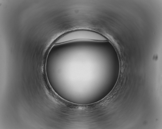 X0000089720060200706210903