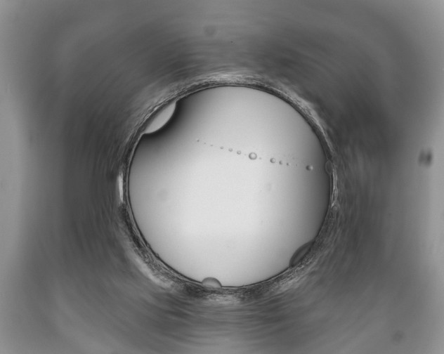 X0000089720061200706210903