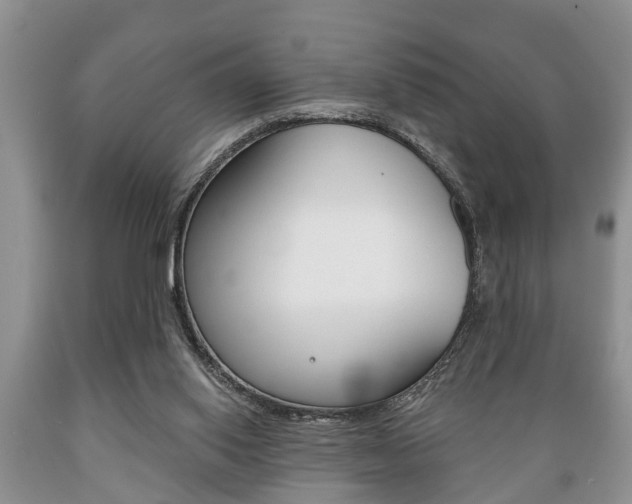 X0000089720062200706210903