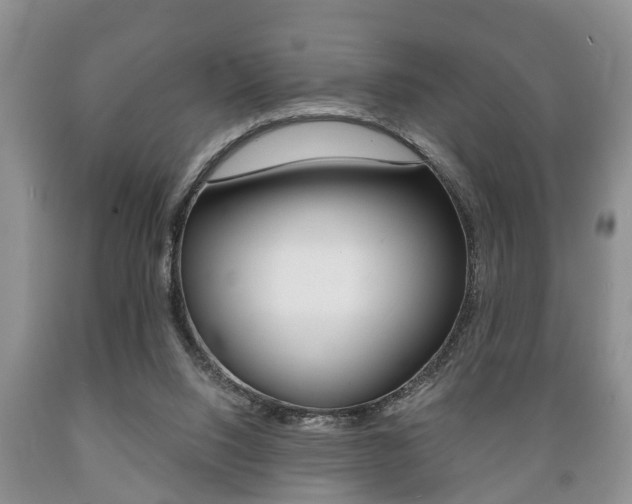 X0000089720064200706210903