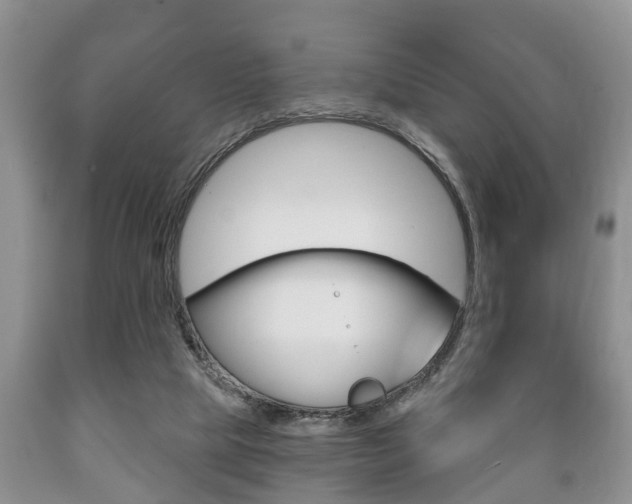 X0000089720065200706210903
