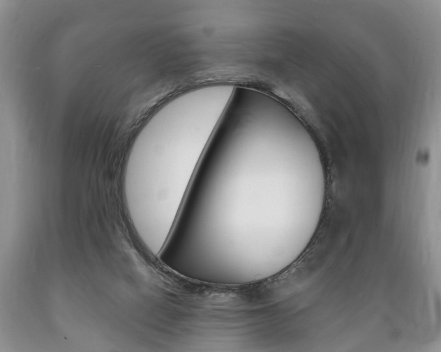 X0000089720066200706210903