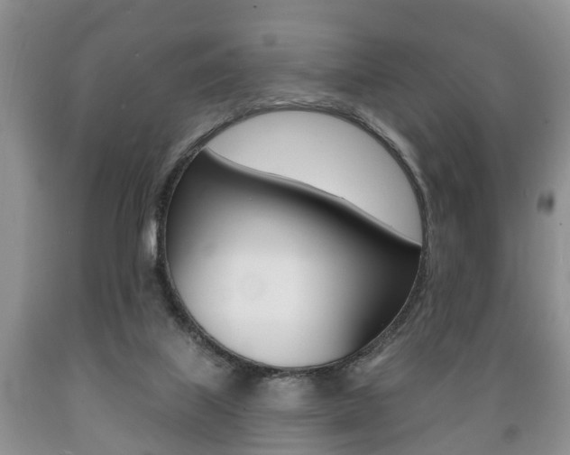 X0000089720067200706210903