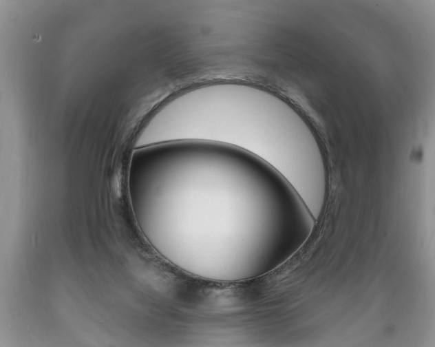 X0000089720068200706210903
