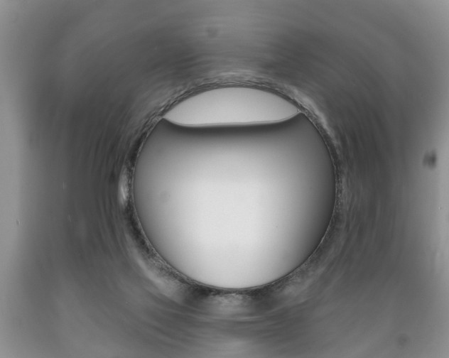 X0000089720069200706210903