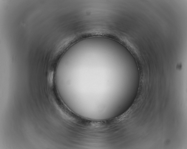X0000089720070200706210903