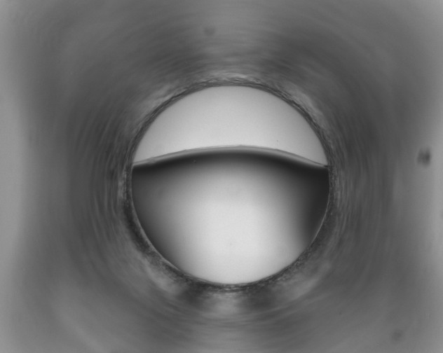 X0000089720071200706210903
