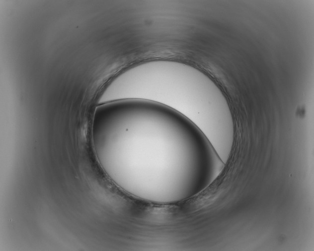X0000089720072200706210903