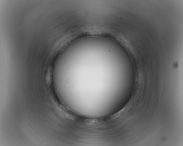 X0000089720074200706210903