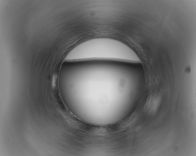 X0000089720075200706210903