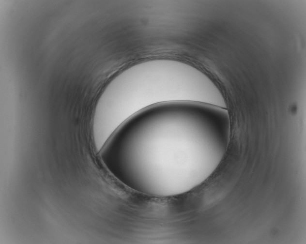 X0000089720076200706210903