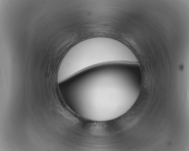 X0000089720077200706210903