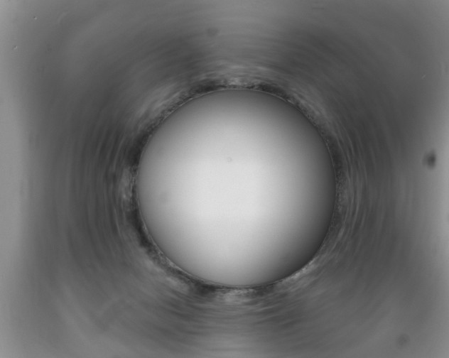 X0000089720078200706210903