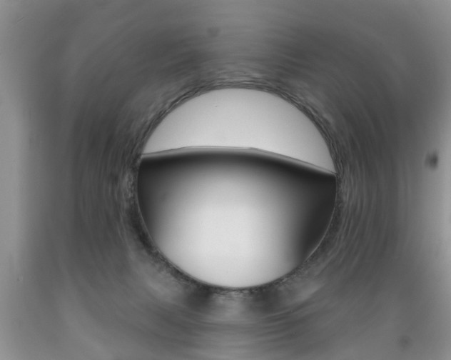 X0000089720079200706210903