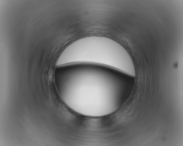 X0000089720081200706210903