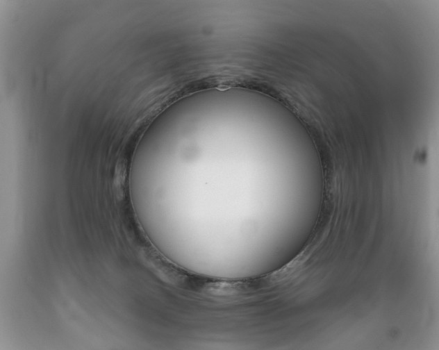 X0000089720082200706210903