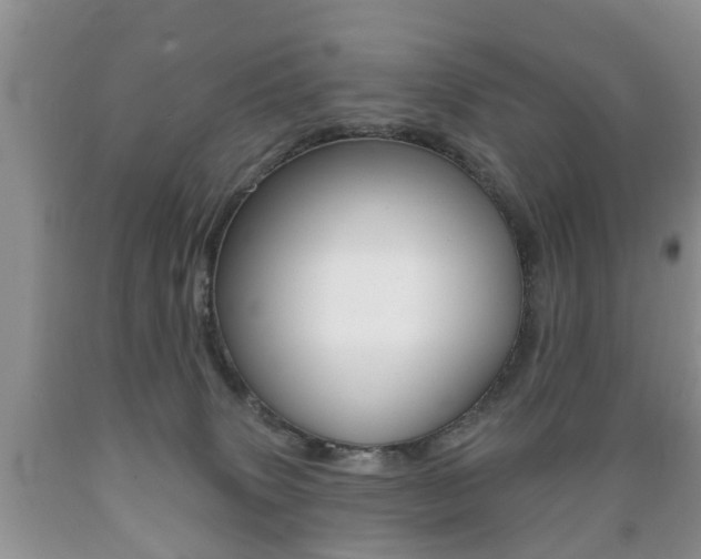 X0000089720083200706210903