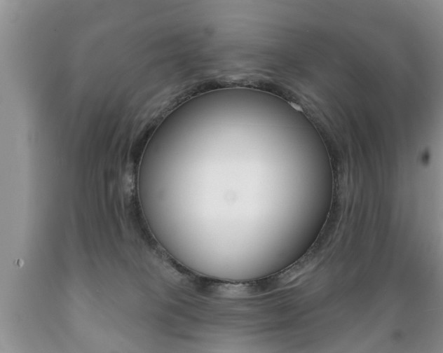 X0000089720085200706210903
