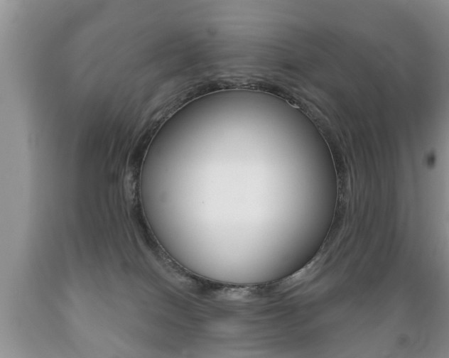 X0000089720086200706210903