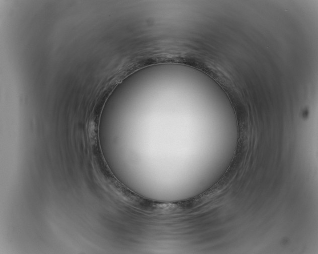 X0000089720087200706210903