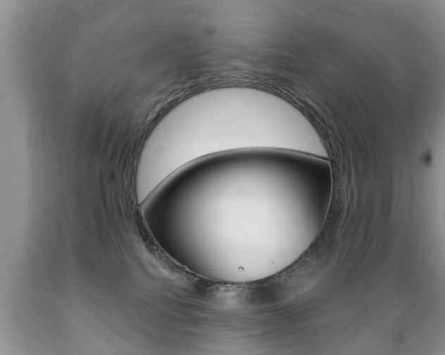 X0000089720088200706210903