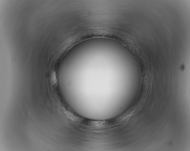 X0000089720089200706210903