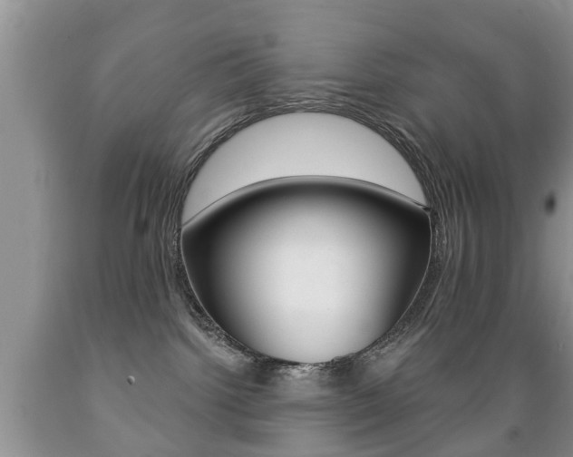 X0000089720092200706210903