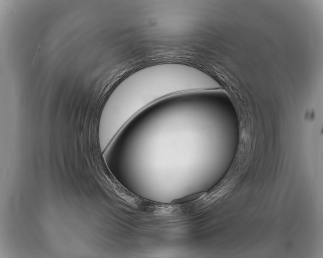X0000089720096200706210903