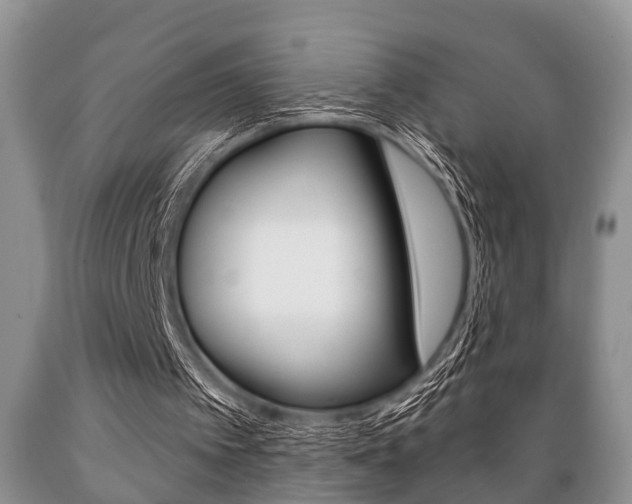 X0000089720097200706210903