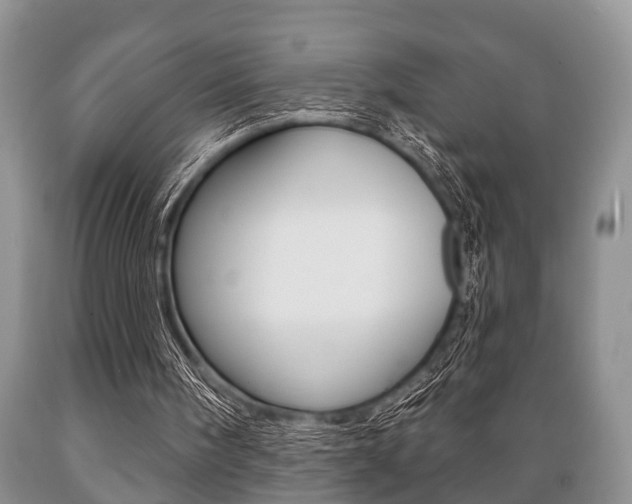 X0000089720098200706210903