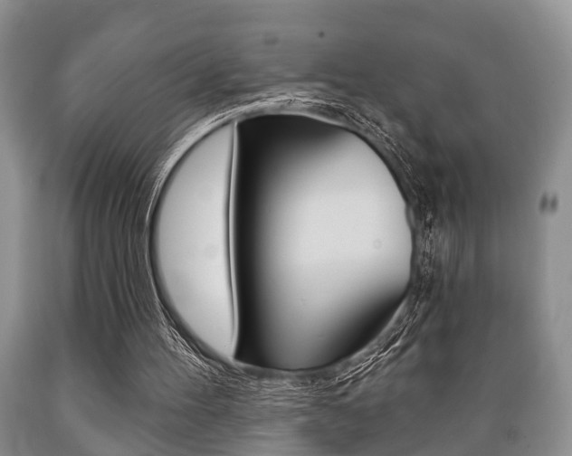 X0000089720100200706210903