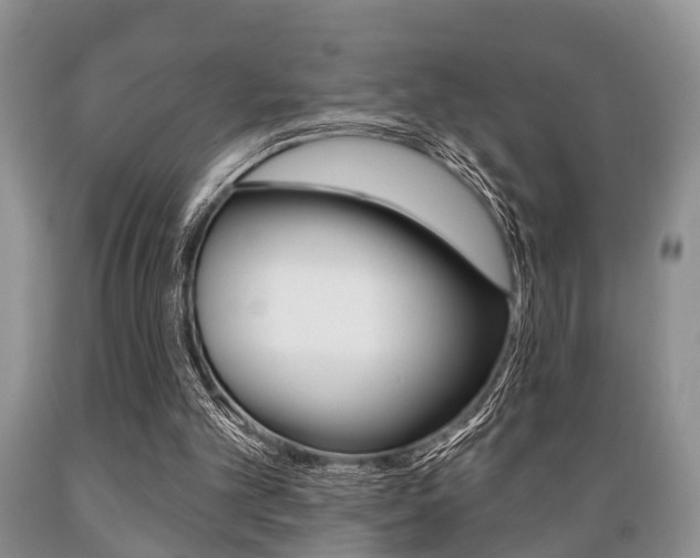 X0000089720101200706210903