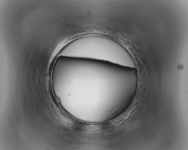 X0000089720102200706210903