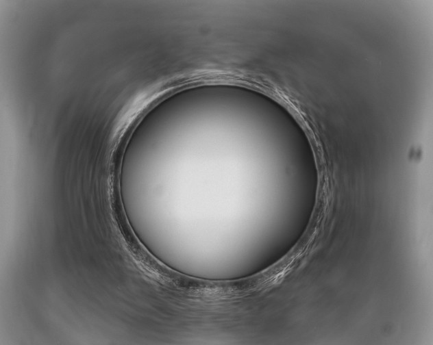 X0000089720103200706210903