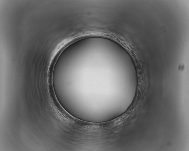X0000089720104200706210903