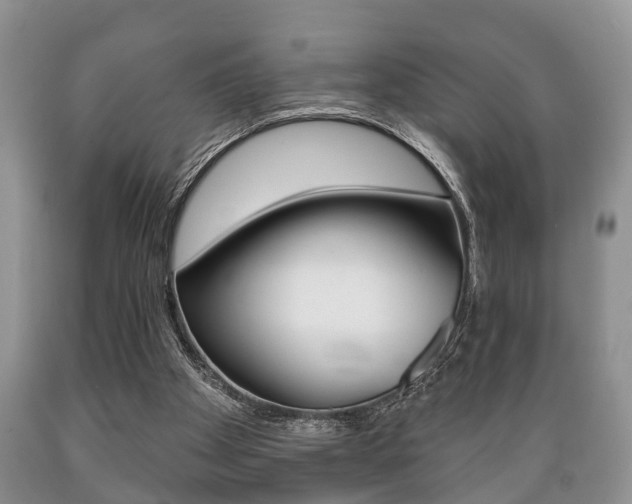 X0000089720105200706210903