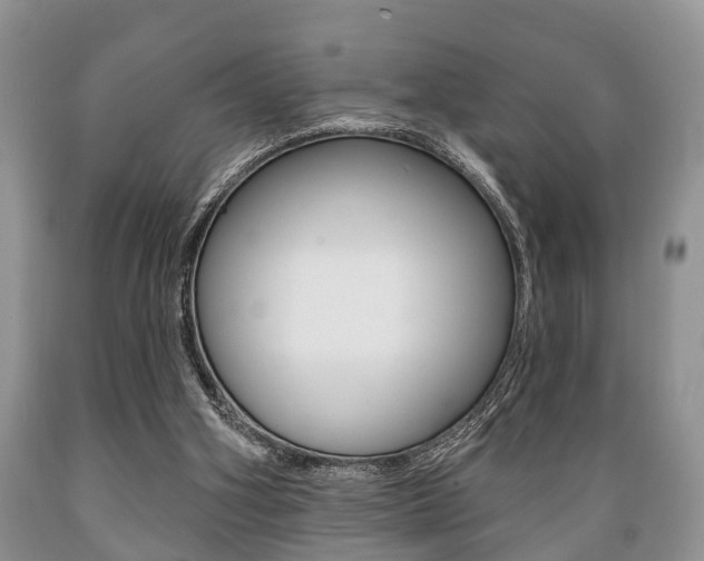 X0000089720106200706210903