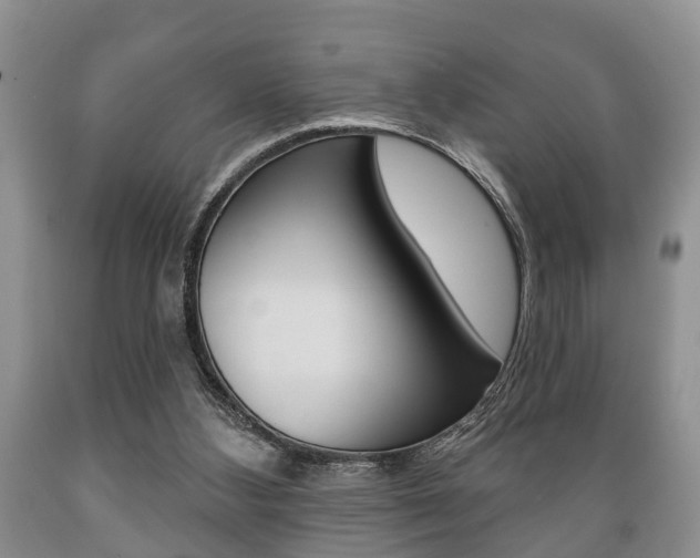X0000089720108200706210903