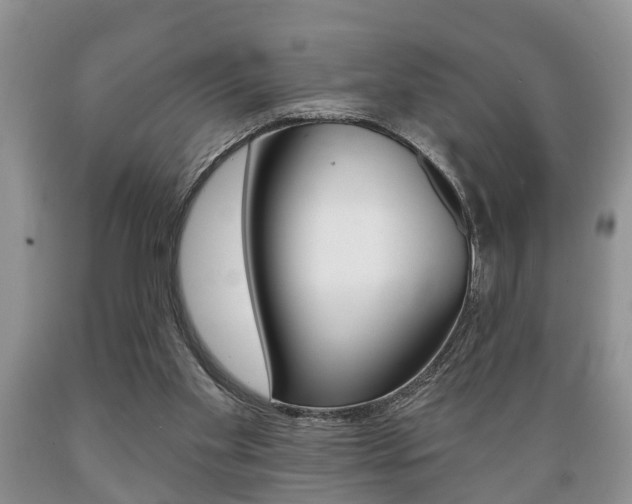 X0000089720109200706210903