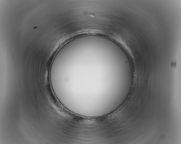 X0000089720110200706210903