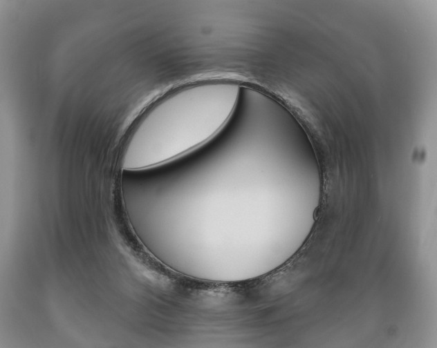 X0000089720112200706210903